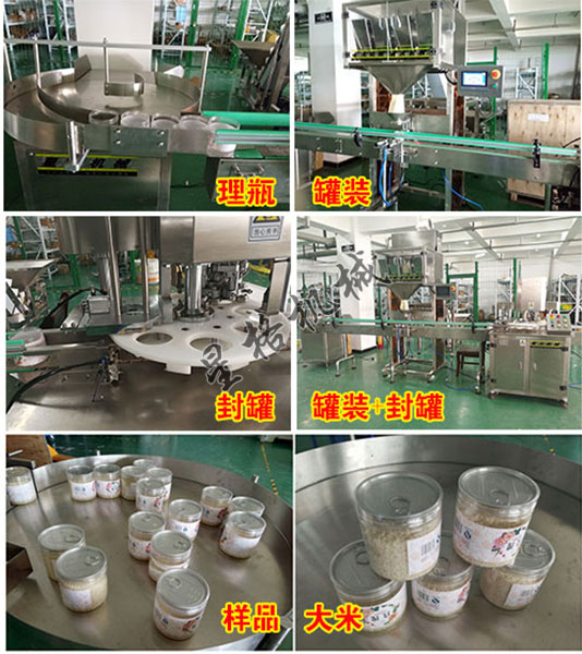 全自动杂粮颗粒罐装包装机(图3)